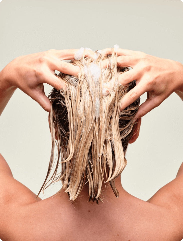 Root Purifier Shampoo
