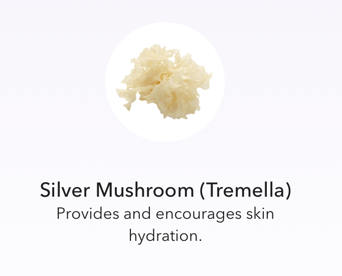 Restorative Skin Complex Next Generation with TriHex Technology