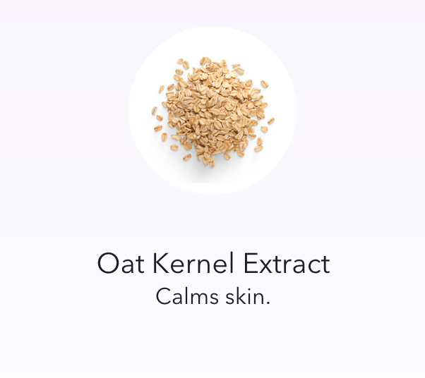 Gentle Cleanser