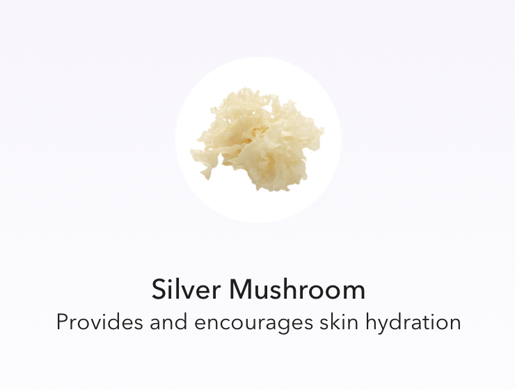 Travel Ultra Calm Cleansing Cream