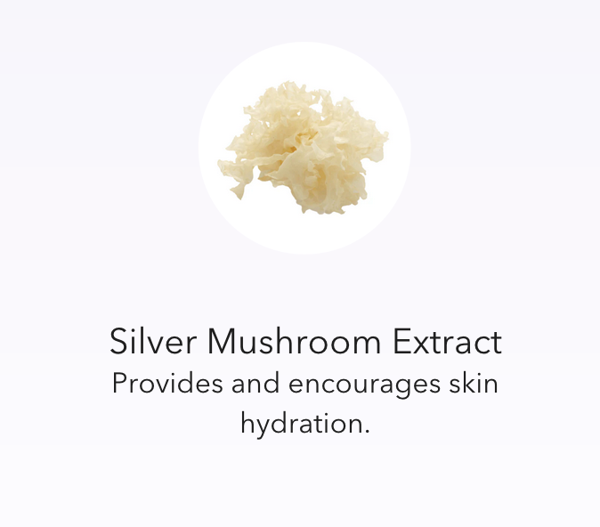 HA (Hyaluronic Acid) IMMERSE Serum™